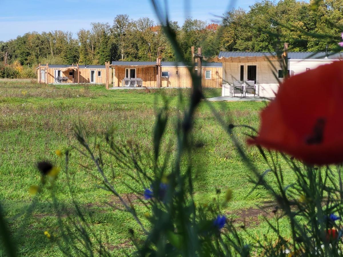 Hoeve Twente - Oeverzwaluw Villa Heythuysen Buitenkant foto